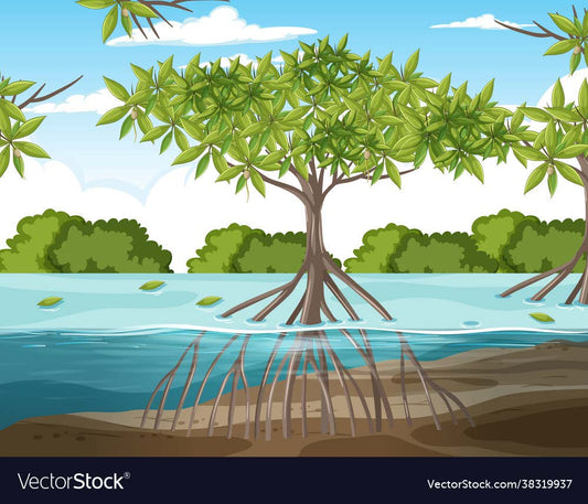 Application of Mangrove Root Structures in Designing Buildings to Prevent Earthquake Damage